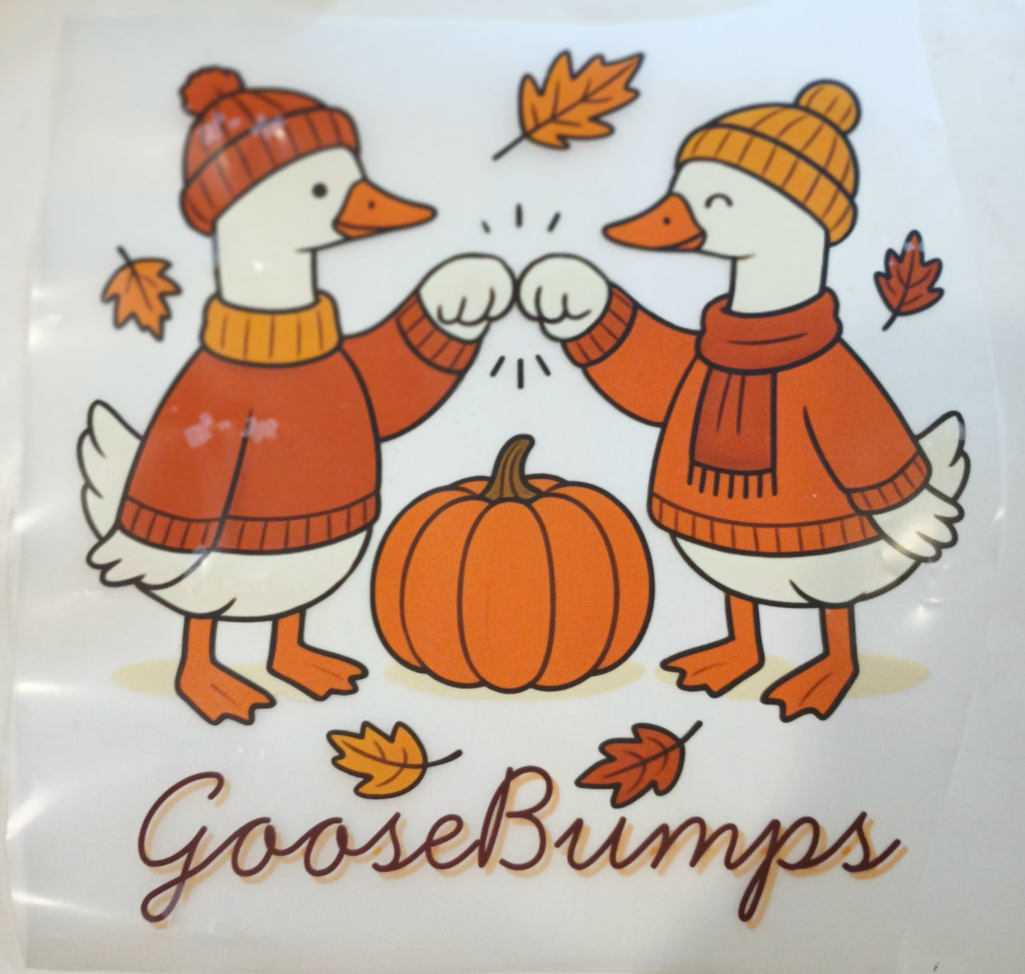 Goose T-shirt (12 designs to choose from)