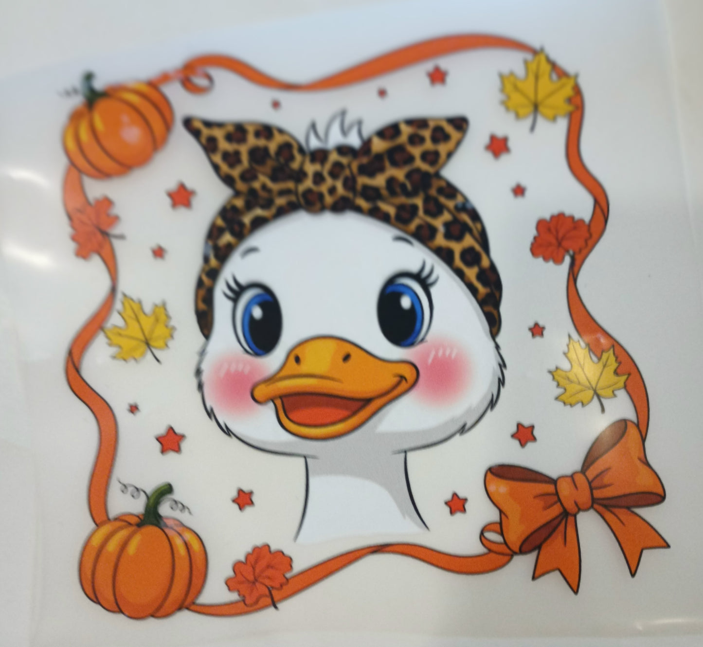 Goose T-shirt (12 designs to choose from)