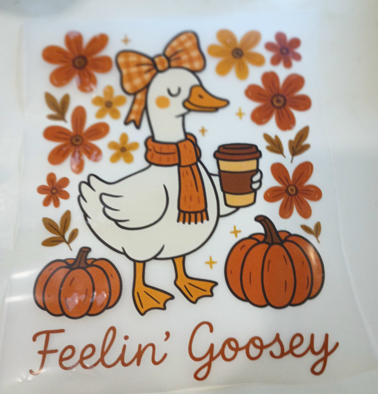 Goose T-shirt (12 designs to choose from)