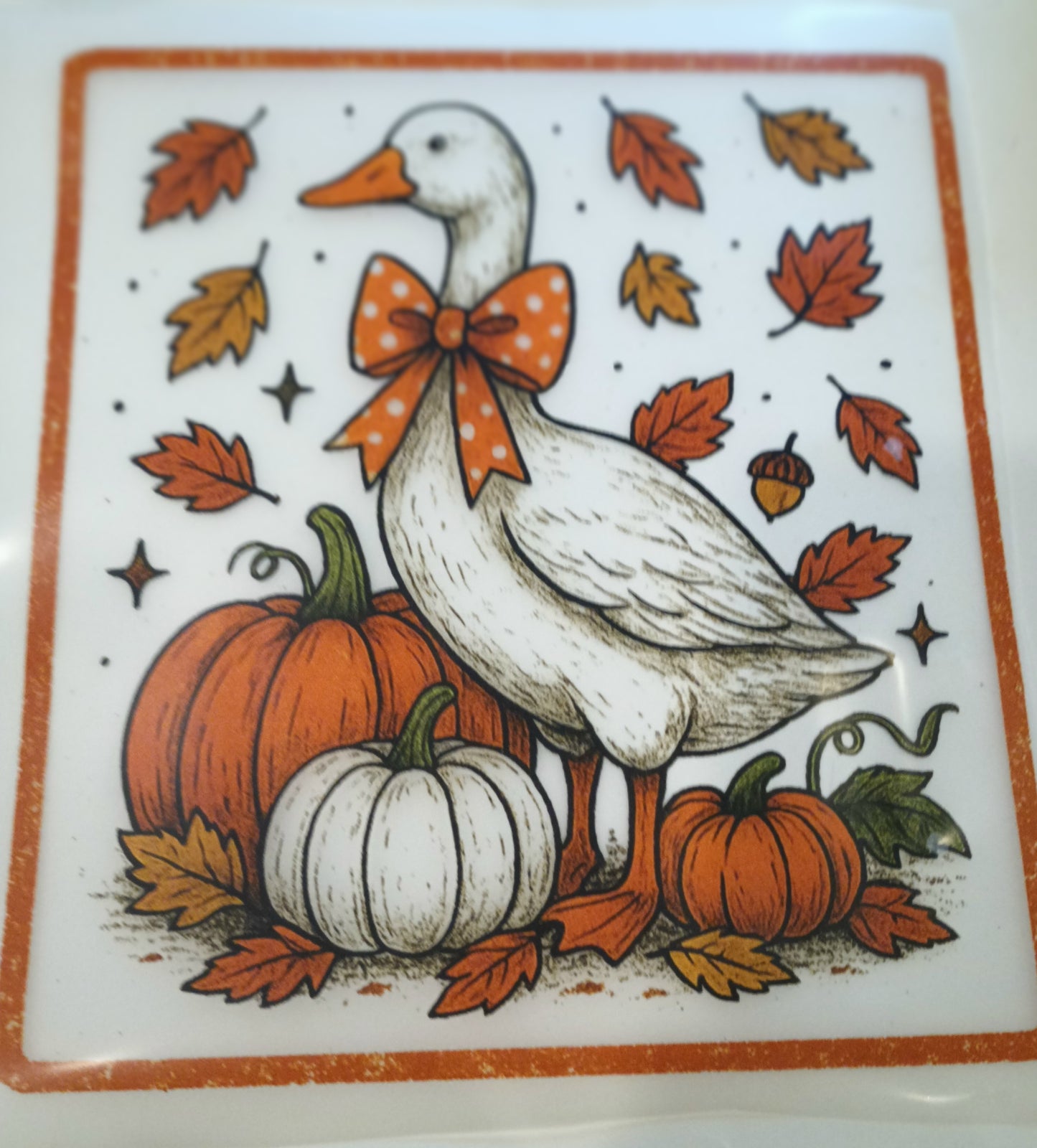 Goose T-shirt (12 designs to choose from)